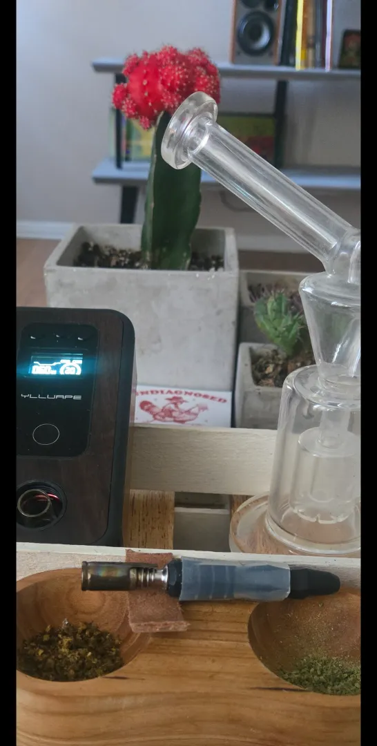 B2 is my daytime fave. posted by La-Muerte-Blanca