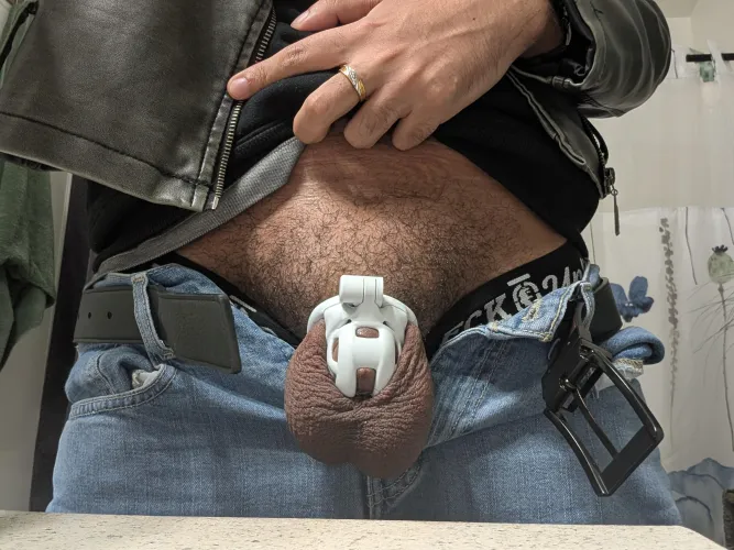 Baby cobra is surprisingly comfortable by HighAltitudeFudge