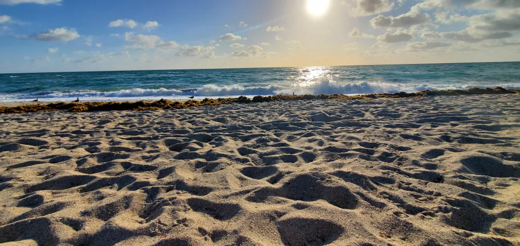 Back again on a great day by TheBloodiestMonday