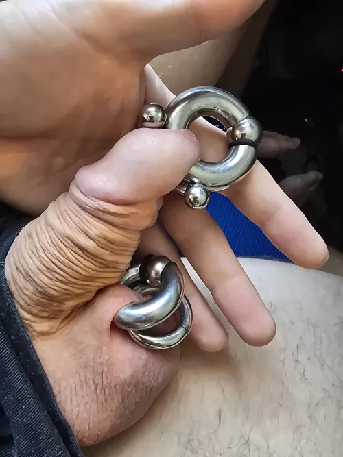 Back to jingling by hidden_snow_dog