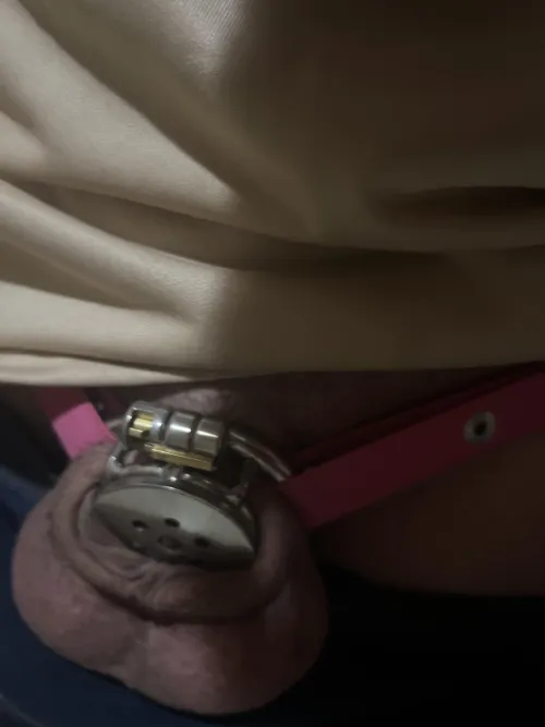 Bambi win by Few_Economics1421