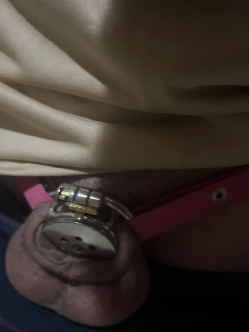 Bambi win posted by Few_Economics1421