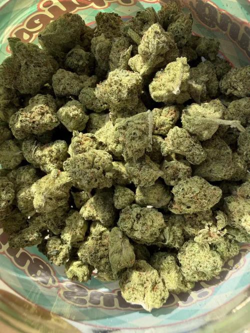 Banjo time! by Good-Cancel-439