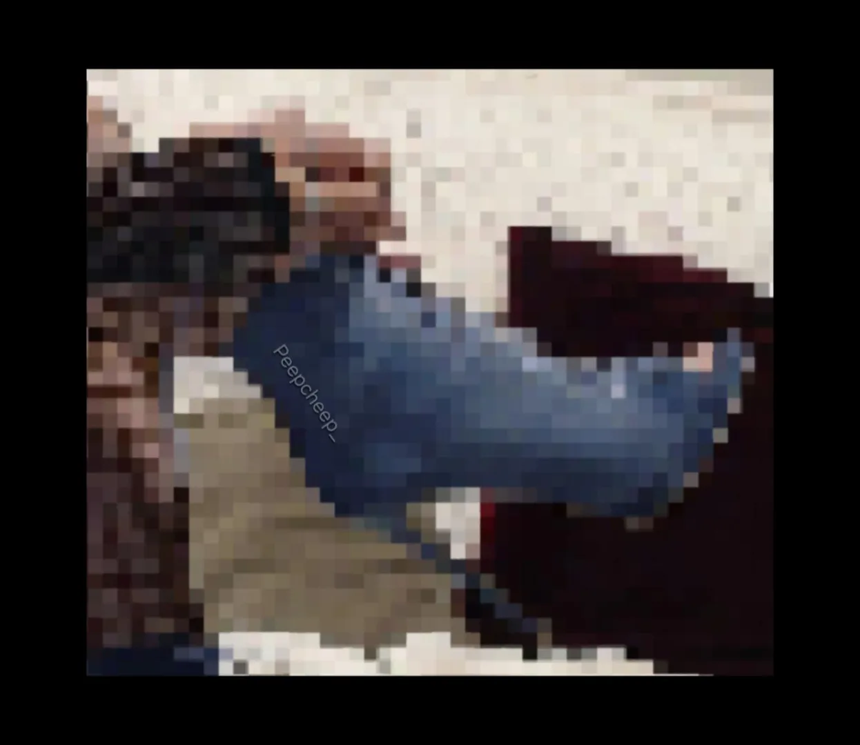 Bark like you want it, baby  posted by Peepcheep_