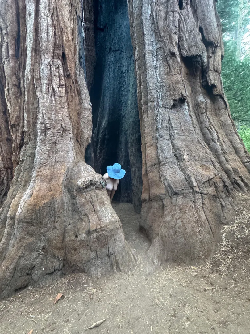 Bashful Tree Pose  posted by MrsDarling55