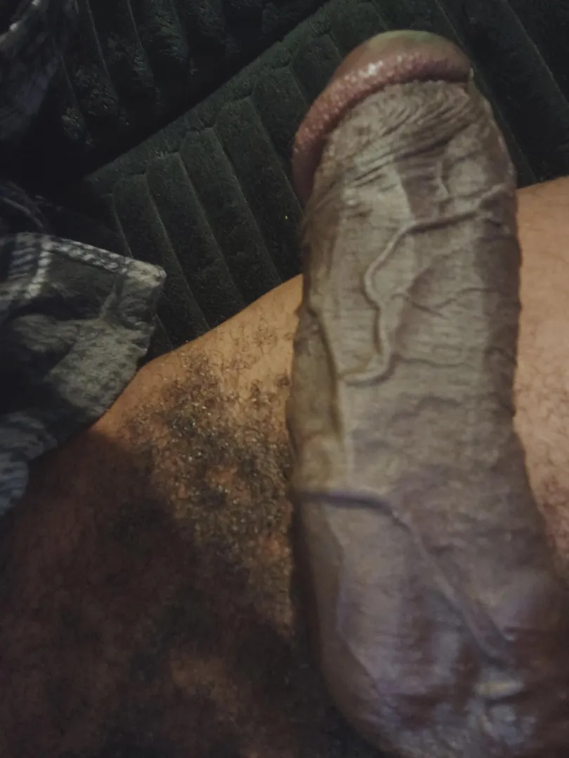 BBC in Crafton looking for feminized sissies. posted by Practical-Papaya8907