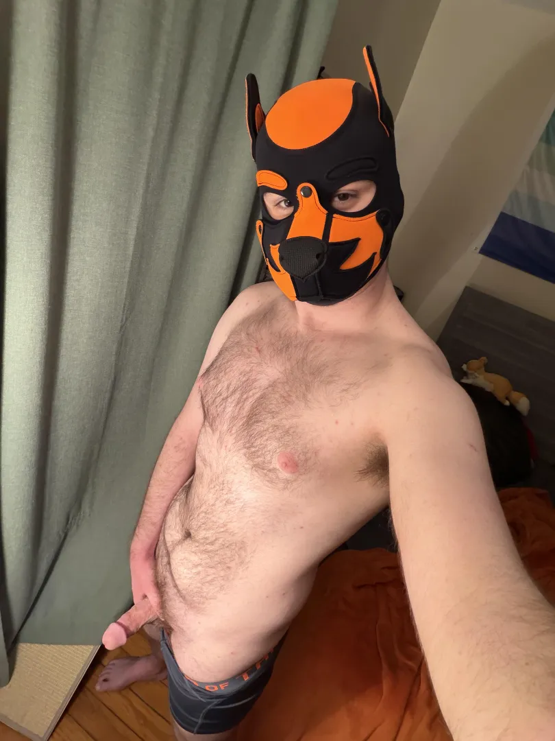 Be a good pup and get on your knees for me posted by PupAjaxTheGreat