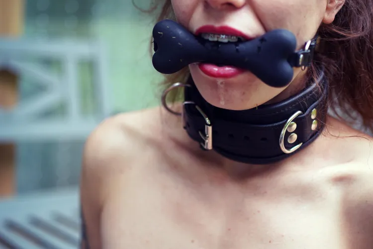 Be honest… would I last under your control? Woof by jarilowitch