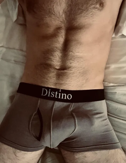 Be my valentine? by JarrahRedwood