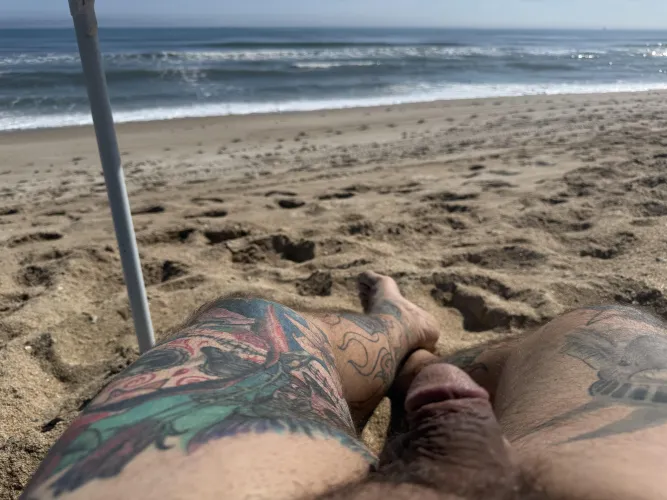 Beach friend by 305Bose