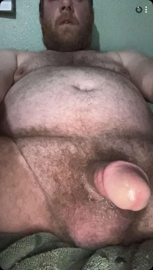 Bear anyone? by 26ApM