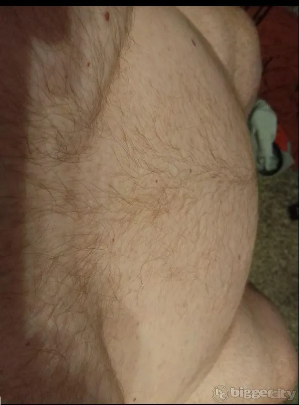 bear boobs and belly 55 posted by GingerBear2026