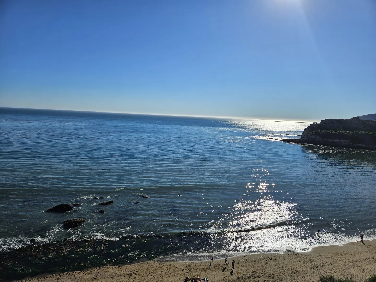 Beautiful and Busy Day posted by Silver-Situation1981