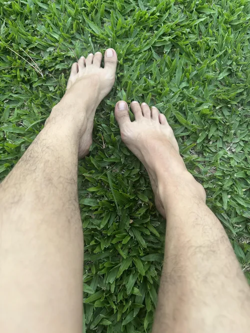 beautiful day, i could live barefoot all my life by ElectricalLeg8817