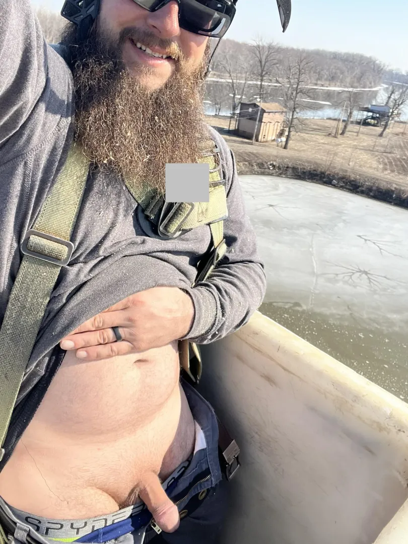 Beautiful day in the neighborhood posted by bluecollartreeguy19