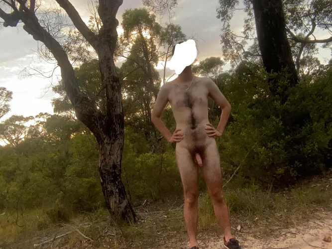 Beautiful morning for a bush walk by No-Dust-6467