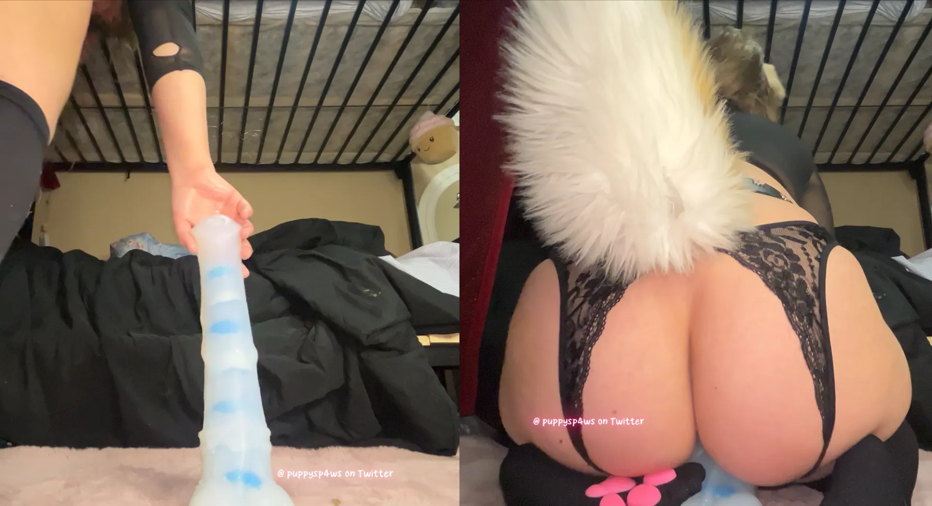 Before and after on my baddragon Chance! Look how it disappears lol posted by Puppyspawz