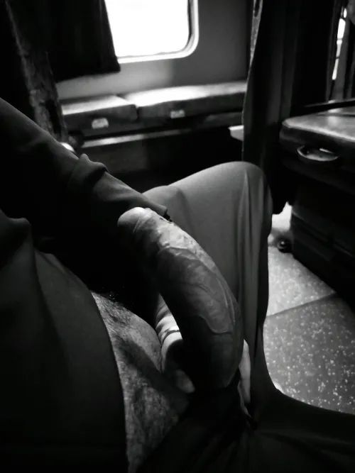 Being wild in train by Alert-University3