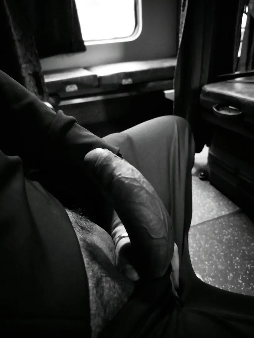 Being wild in train posted by Alert-University3