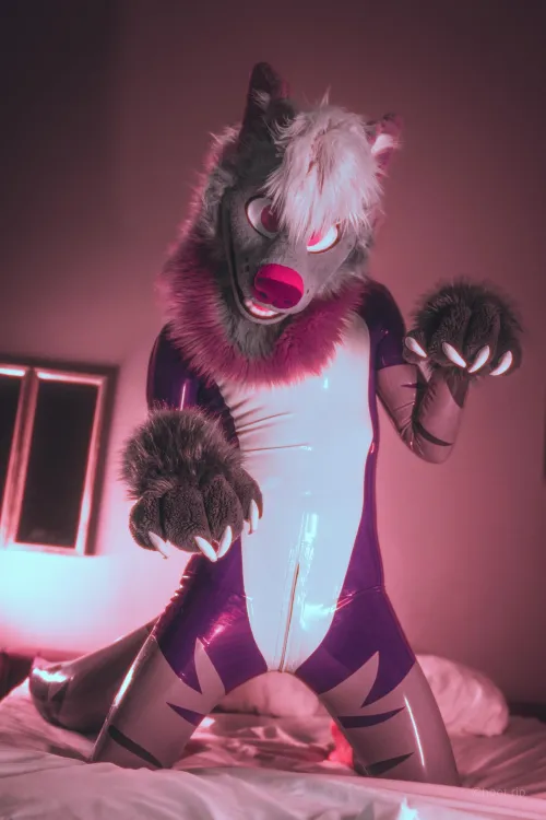 Belly rubs needed.. [steelyeen] by SteelxHusk