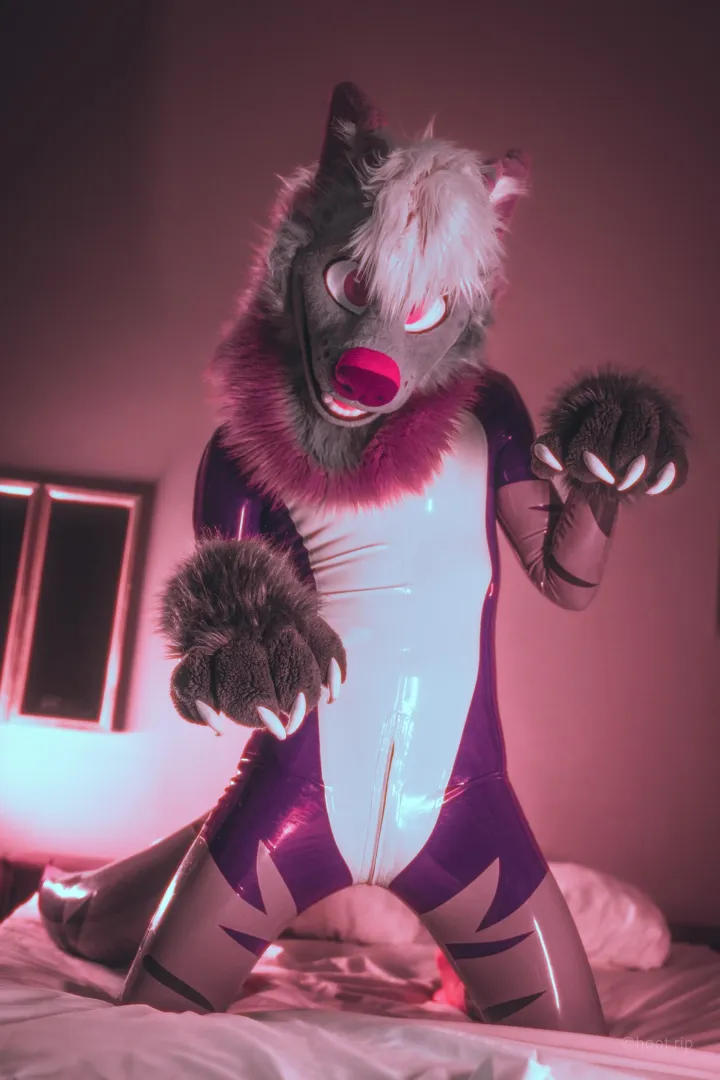 Belly rubs needed.. [steelyeen] posted by SteelxHusk