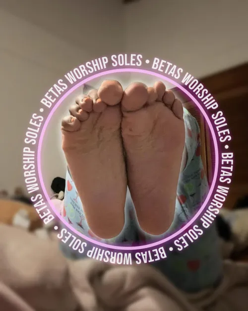 Betas like you only deserve soles, they’re your sex. by Debate-Huge