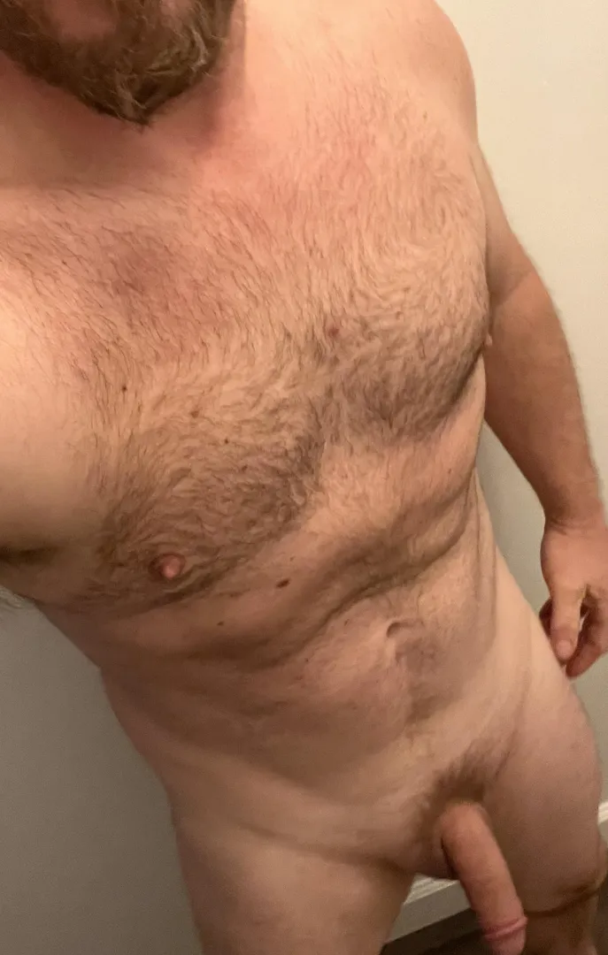 Bi man looking to help a couple find some bliss! posted by FreeSpiritFreaky