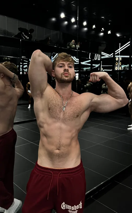 Biceps doing what they do best posted by JonnyStuddOfficial