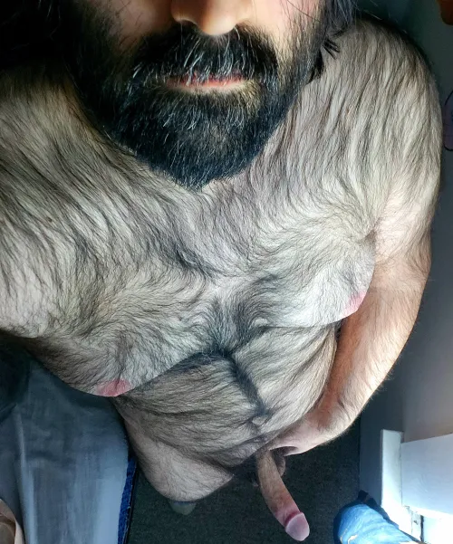 Big furry bear beard and boner ;) [35] by picklejellytoast