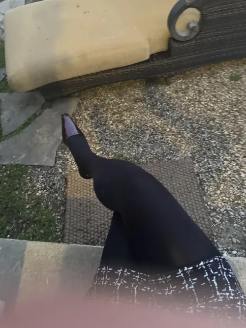 Black tights. Love this dress too by crossdresser111