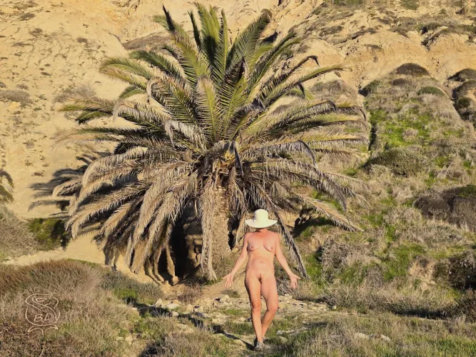 Black's Beach palm attracts all the ladies!  by BareLeiaRose