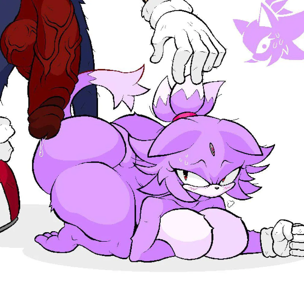 Blaze the Cat (evrc) [Sonic the Hedgehog] posted by Maribelxpetals