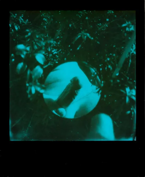 Blue Gardens by GregDaShank