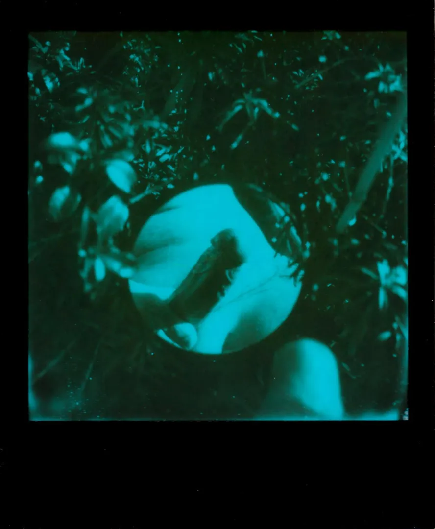 Blue Gardens posted by GregDaShank