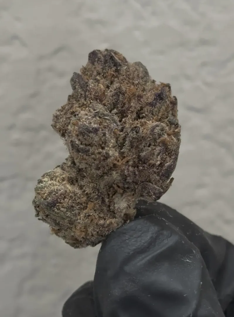 Blue Nerdz  posted by D-F-W-K-I-N-G