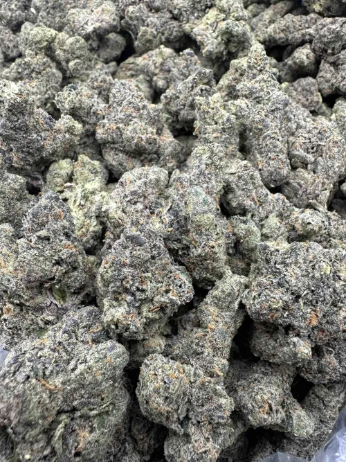 Blue Nerdz by Express_Refuse5479