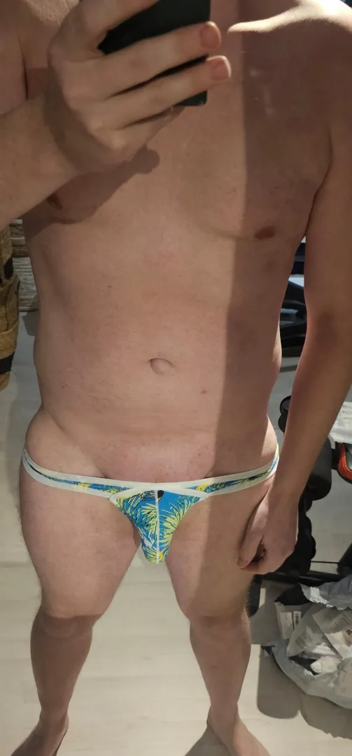 Blue palm swimbrief posted by Straptease1