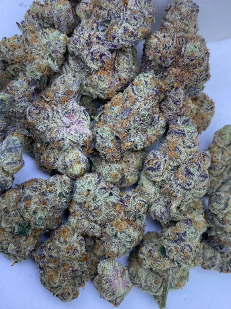 Blue zushi posted by LadyGanja-