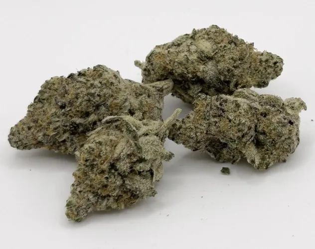 Blueberry Punch by Illest Haze by IslandGeneticsFL