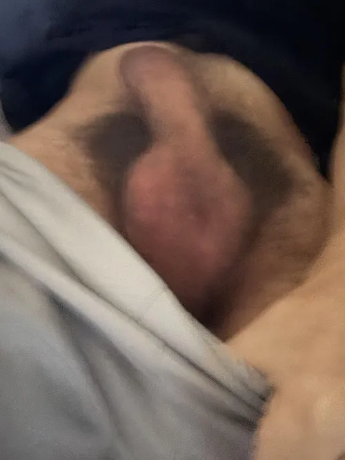 Blurry but musky as fuck, buy me a switch and ill let you clean the cheese  by hrsbreder890