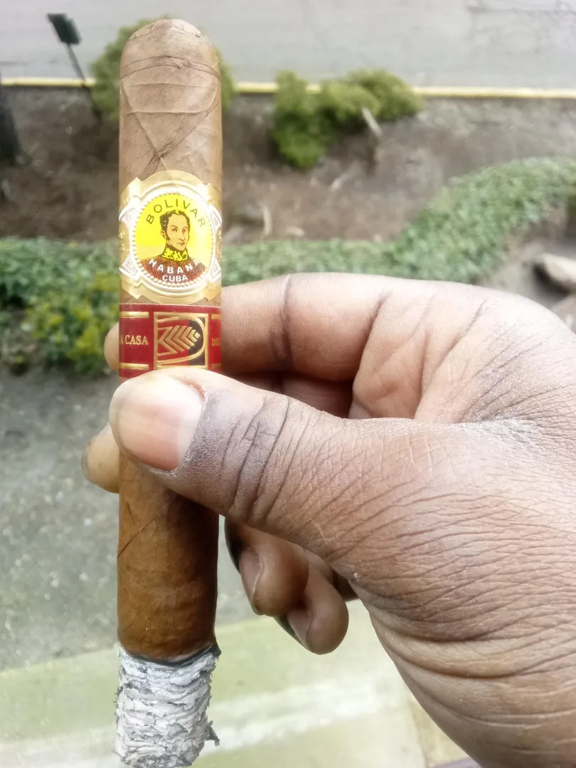 Bolivar Libertador 2019 a new favorite of mine posted by JealousResolution764