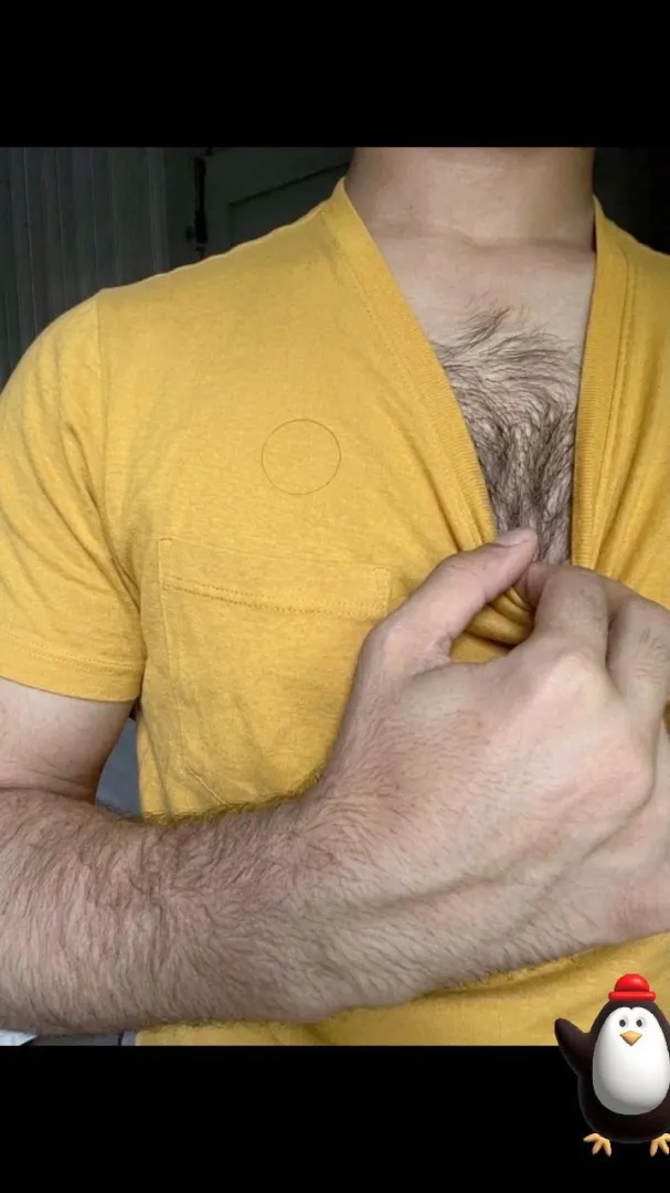 Bored! Wanna chat? Hairy looking for hairy hunk dudes,uncles bros posted by ClassicGood4747