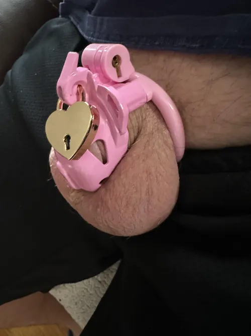 Boss says need smaller cage, do you agree? by Nadoe2