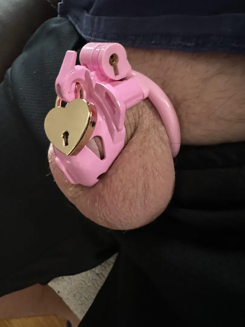 Boss says need smaller cage, do you agree? posted by Nadoe2