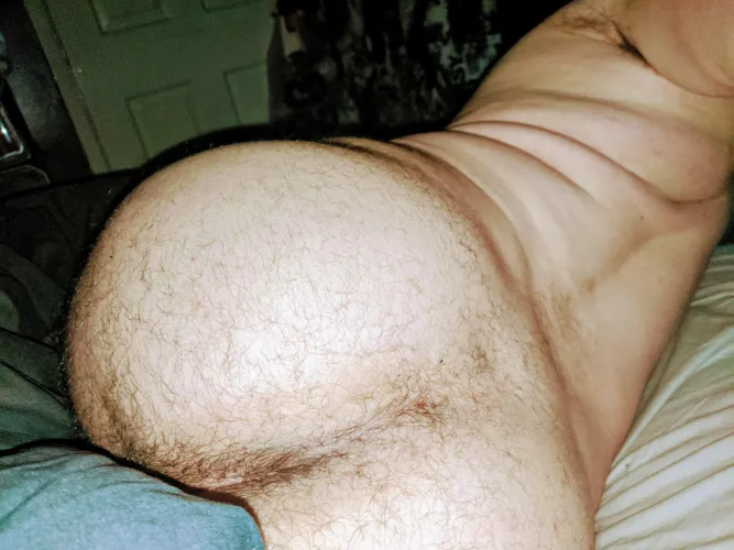 Bottom Guisbrough - No above 38 by Certain_Mastodon8248