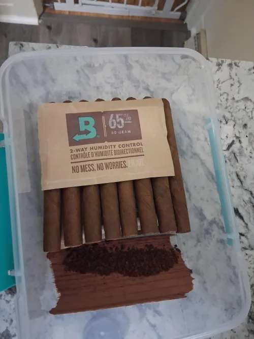 Bought a bundle of Factory Throwouts and they taste like shit. I've decided to bomb them with crushed cloves by TubbyPiper