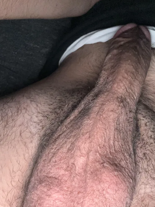 Boşalalım mı? by [deleted]