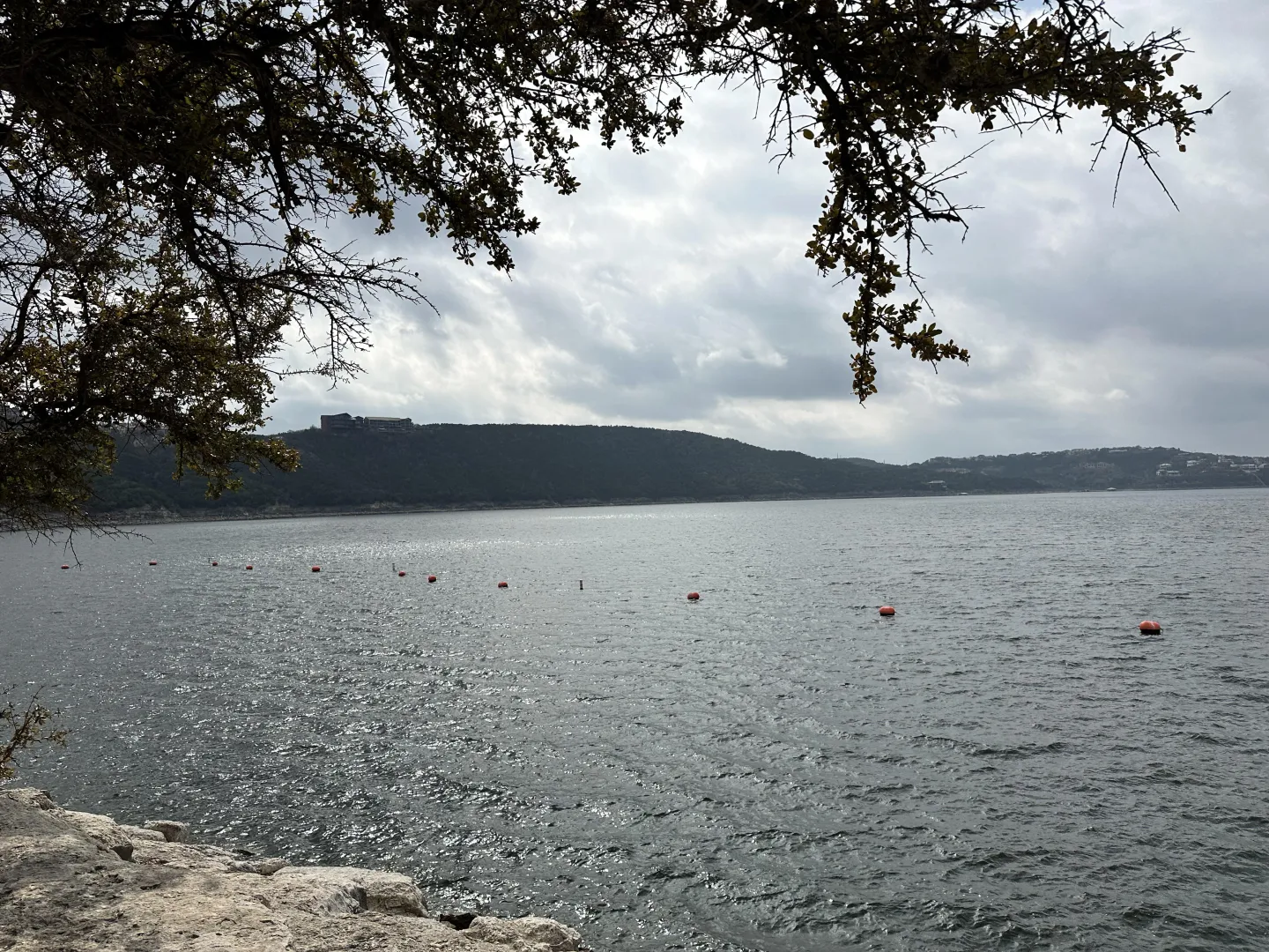 Breezy and beautiful posted by MoonlightGrams