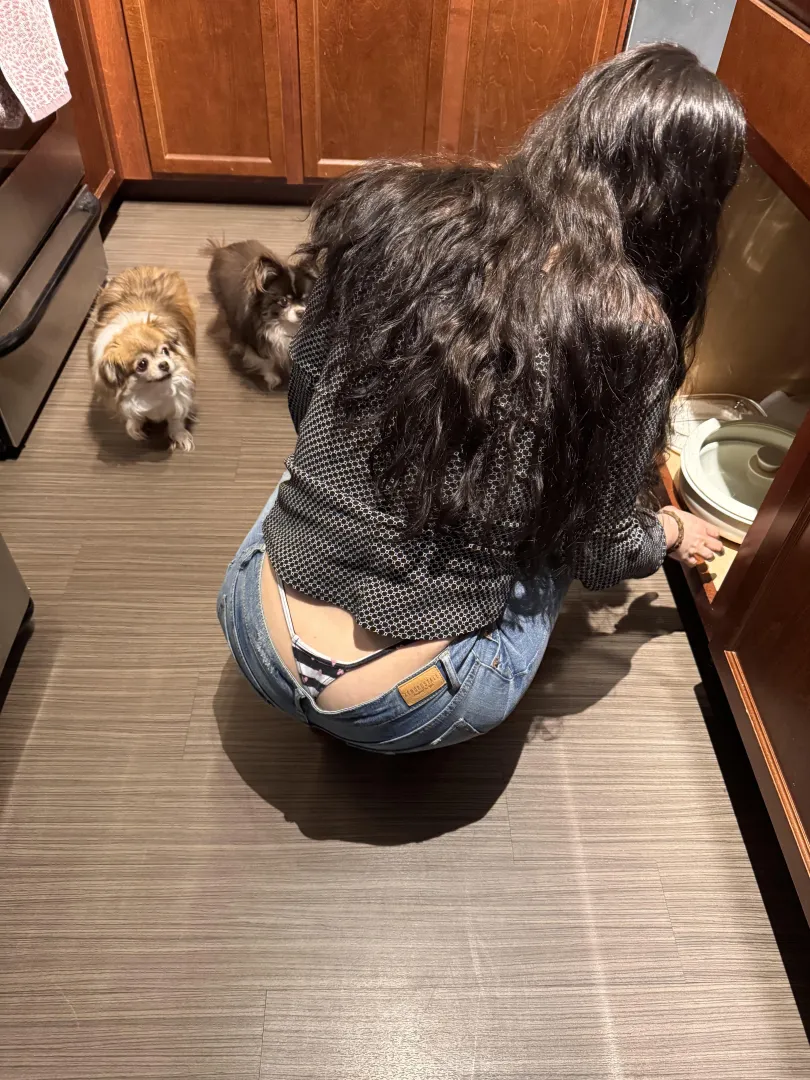 Bring back low rise jeans posted by elmasbuskado