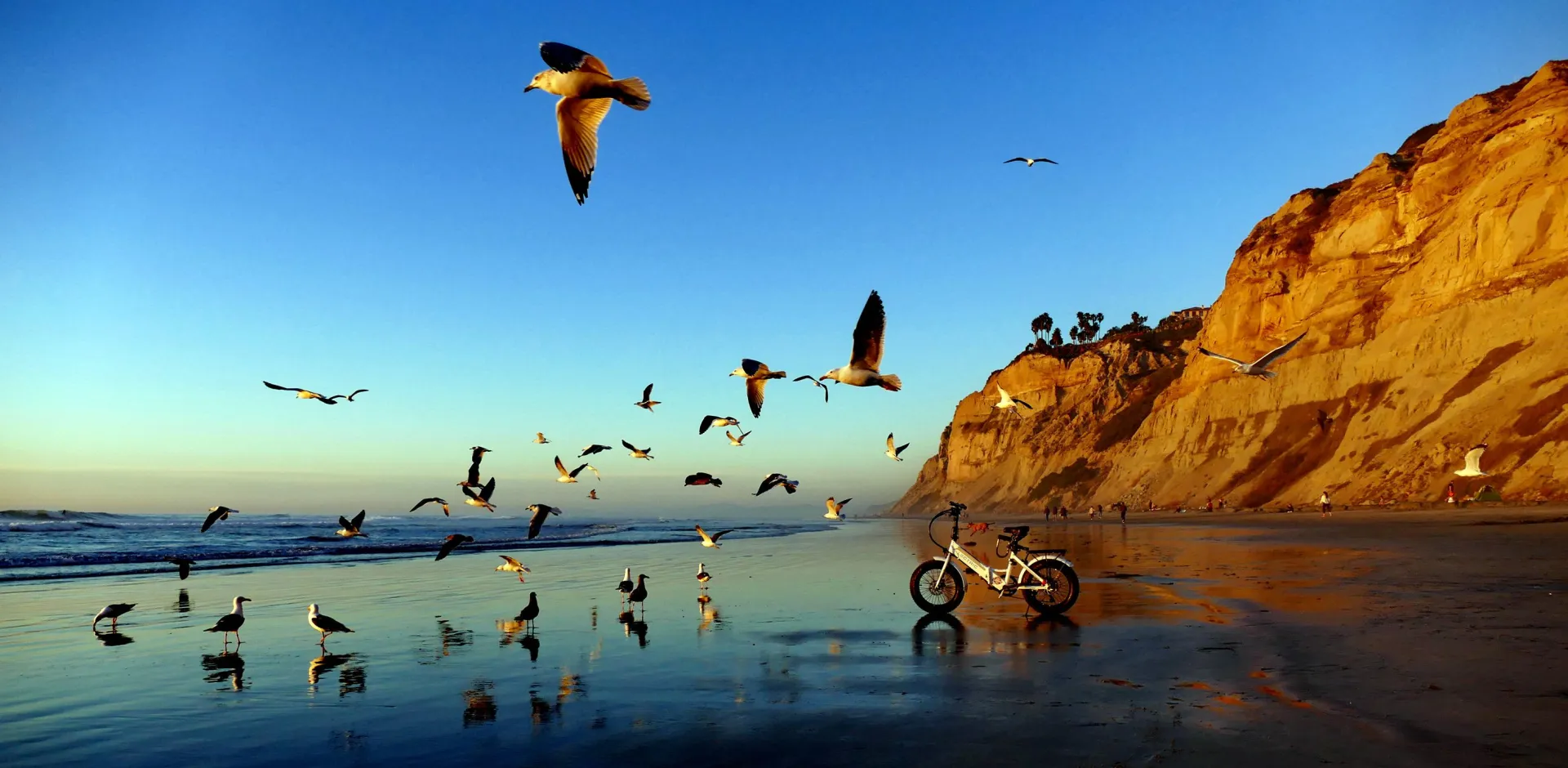 Bring back summer daze posted by Mormologist